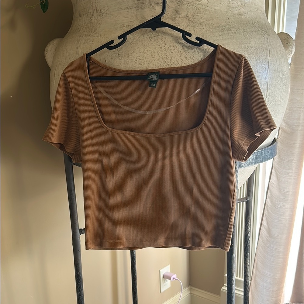 Urban Outfitters Tan Fitted Crop Blouse